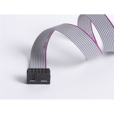 10-Pin IDC Ribbon Cable Length: 20cm